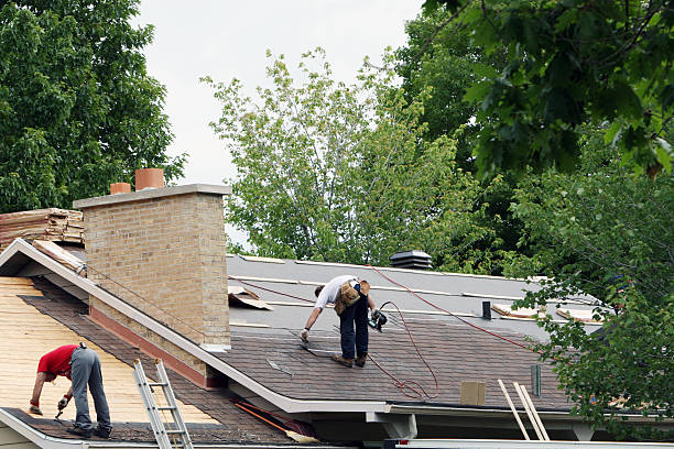 Best Storm Damage Roof Repair  in Falmouth, KY